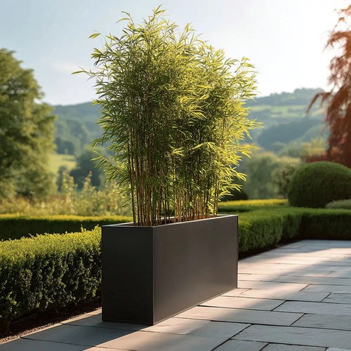 Zinc galvanised long tall - zinc,