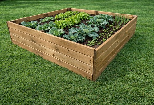 Raised wooden vegetable - wooden,