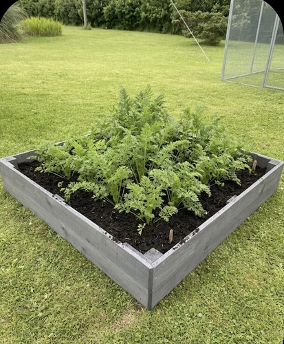 Wooden raised bed - wooden,